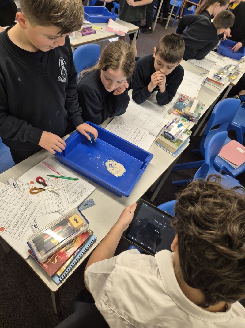 Image for the Tweet beginning: We finished our Science unit