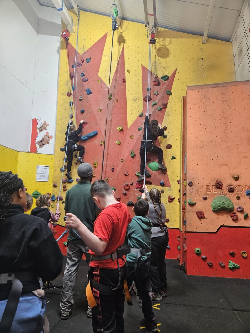 Image for the Tweet beginning: Robinwood! A few snaps from