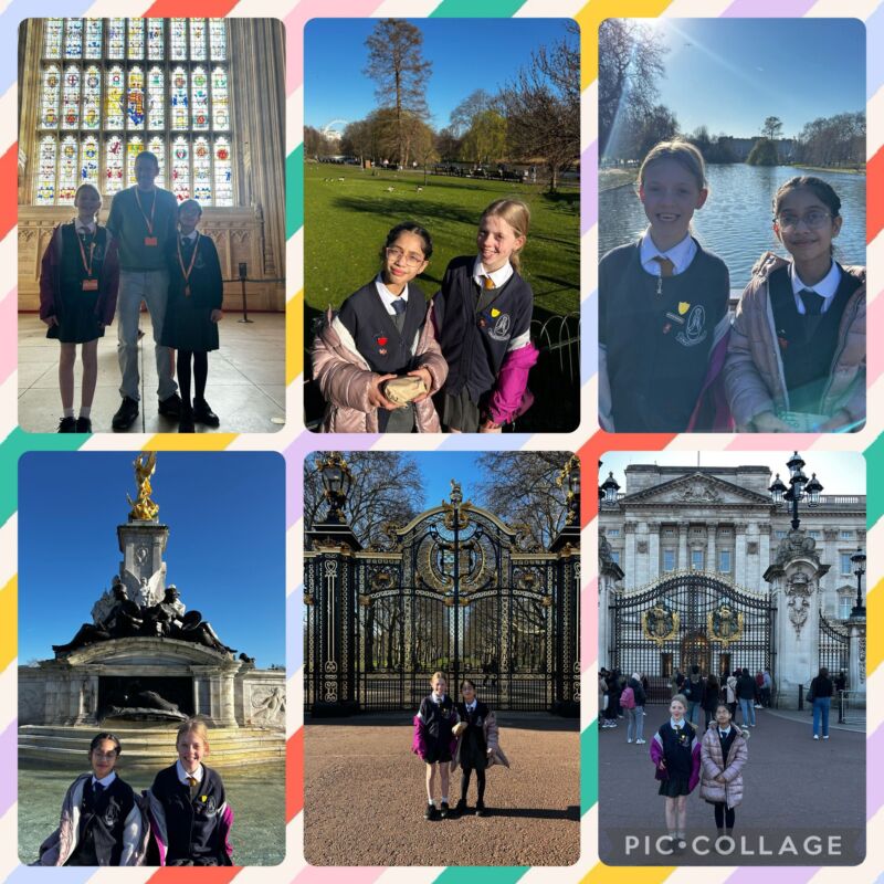 Image for the Tweet beginning: 🤩 WOW! What a wonderful