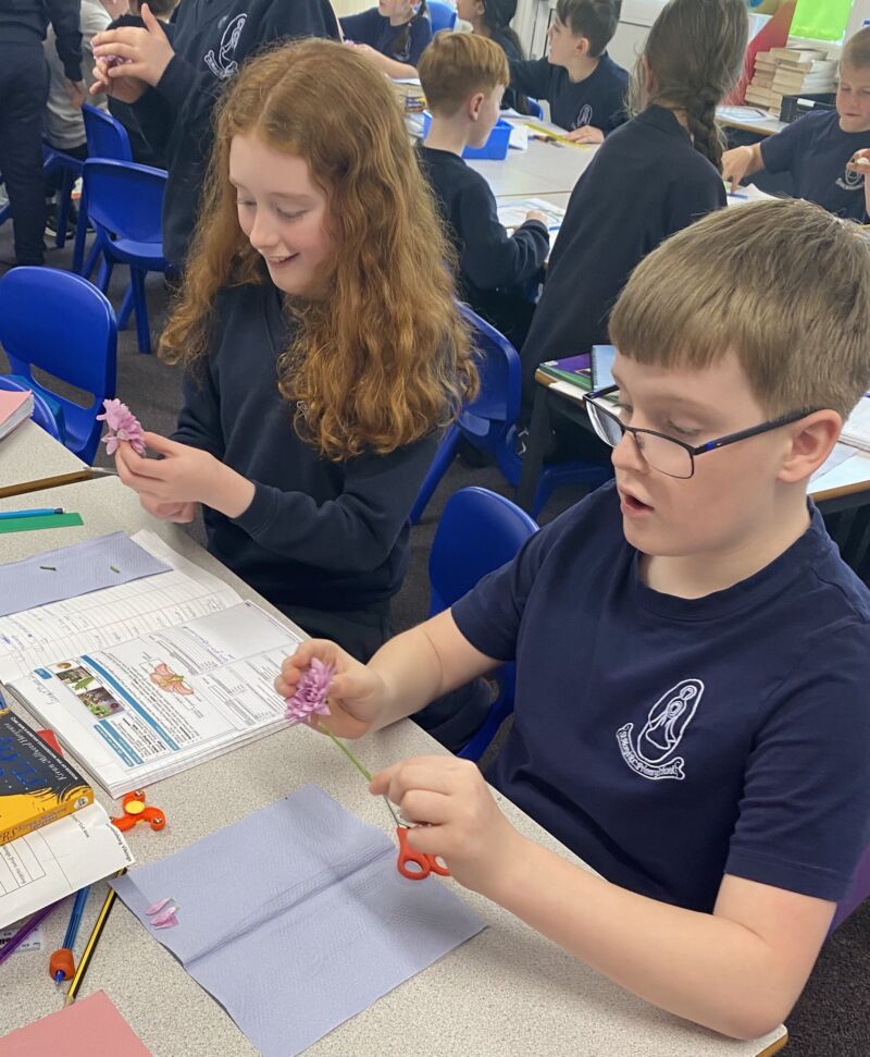 Image for the Tweet beginning: Year 5 had a blooming