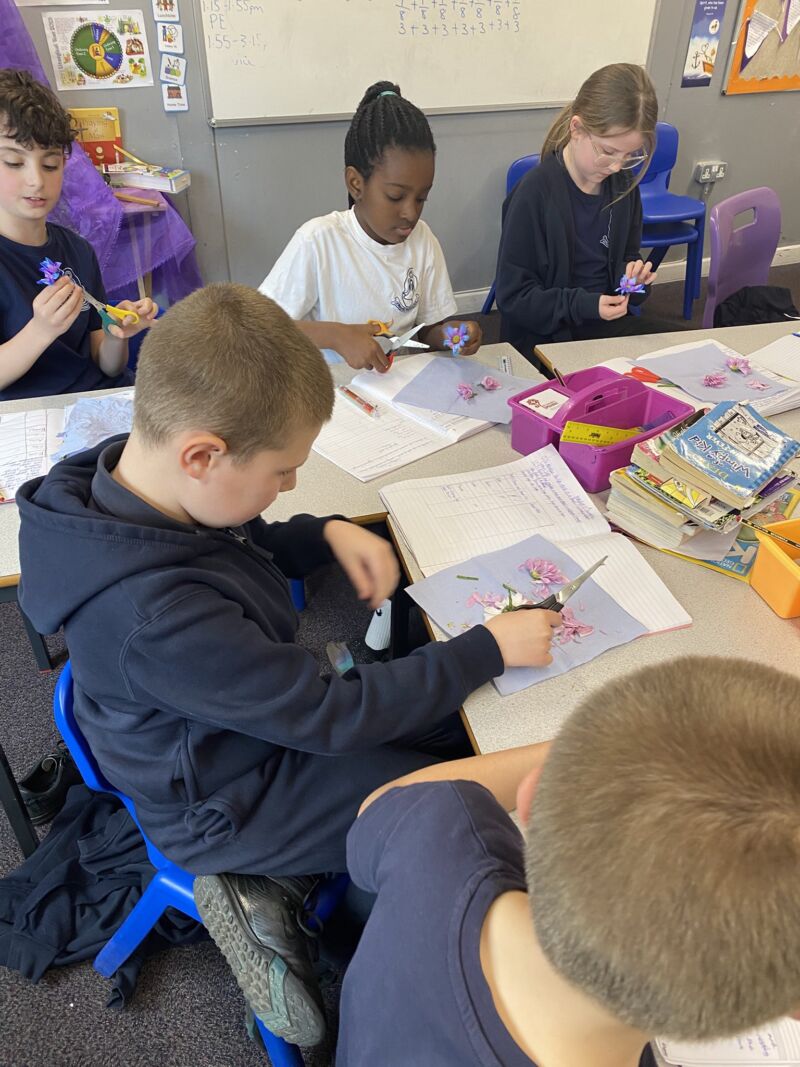 Image for the Tweet beginning: Year 5 had a blooming