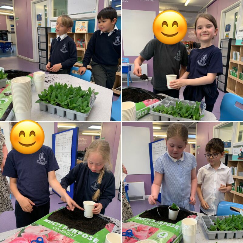 Image for the Tweet beginning: Year 3 scientists in action!