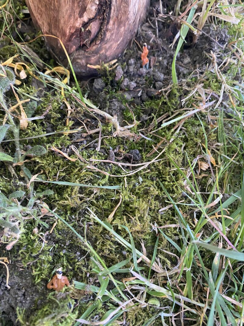 Image for the Tweet beginning: A fun afternoon animating our