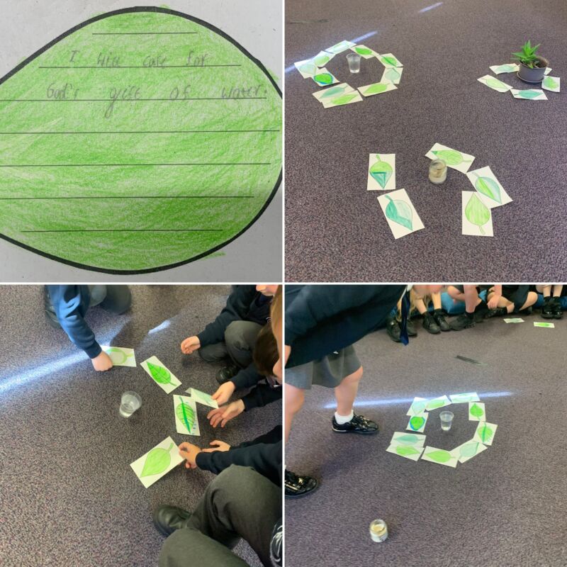 Image for the Tweet beginning: Class 6 reflected on Laudato