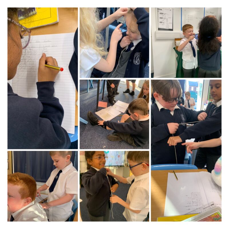 Image for the Tweet beginning: 🦴✨ Class 6 had a